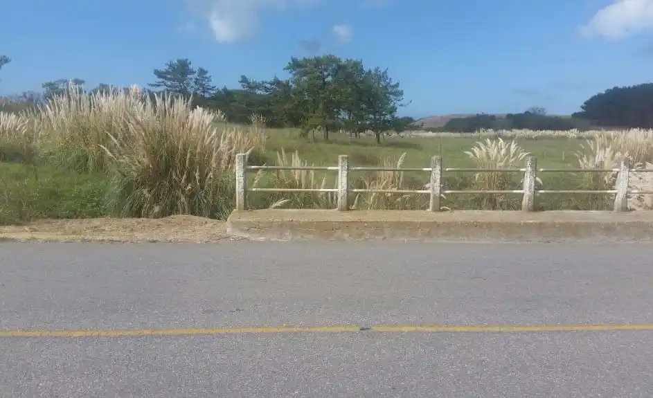 Identificaron al nene mutilado e investigan robo de cadáveres 