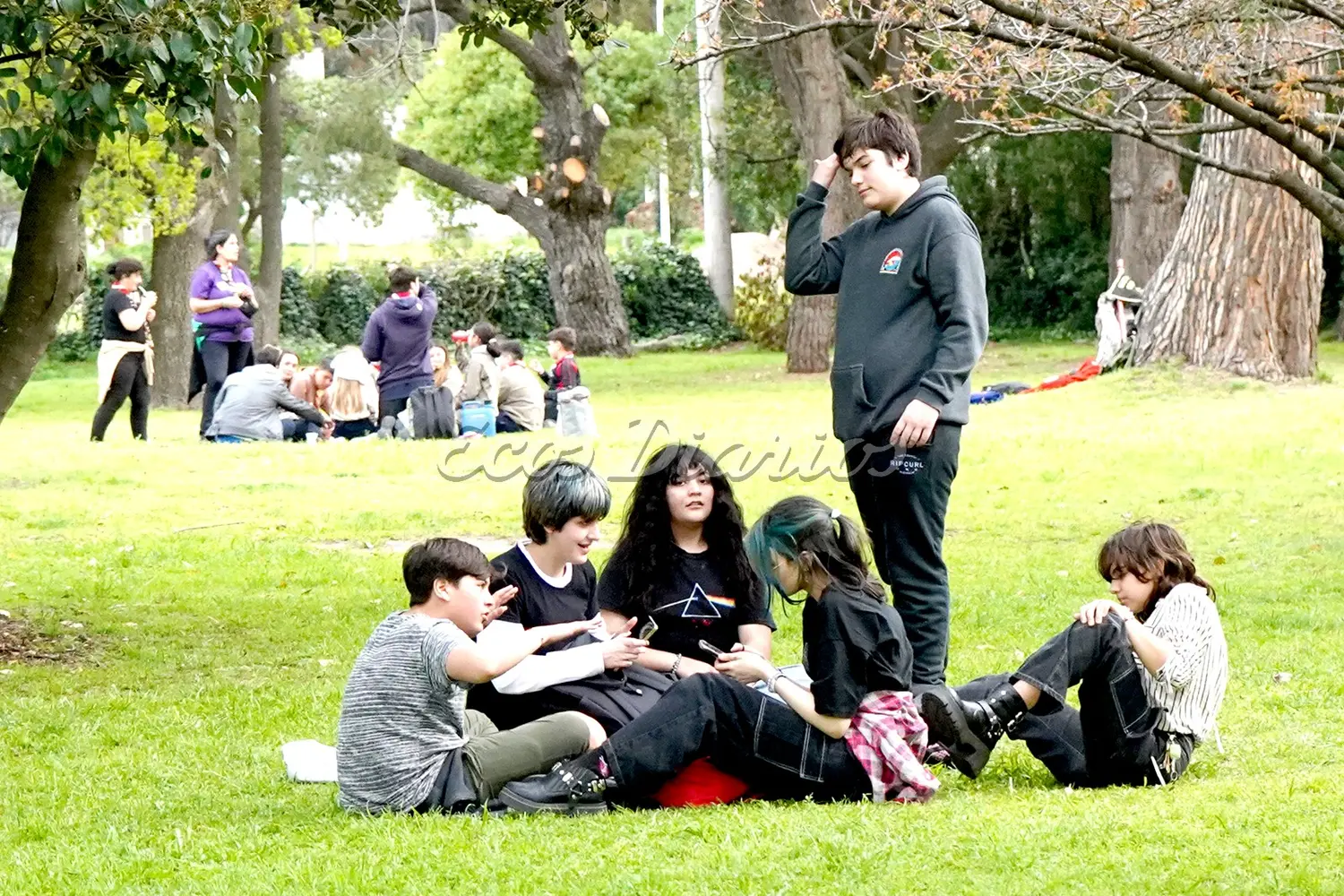 En el Parque. Grupos de chicos celebraron