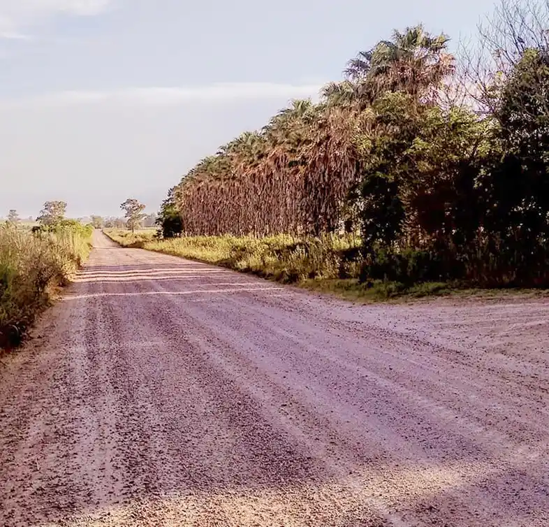 El Consorcio Caminero La Esperanza presentó un balance de trabajo