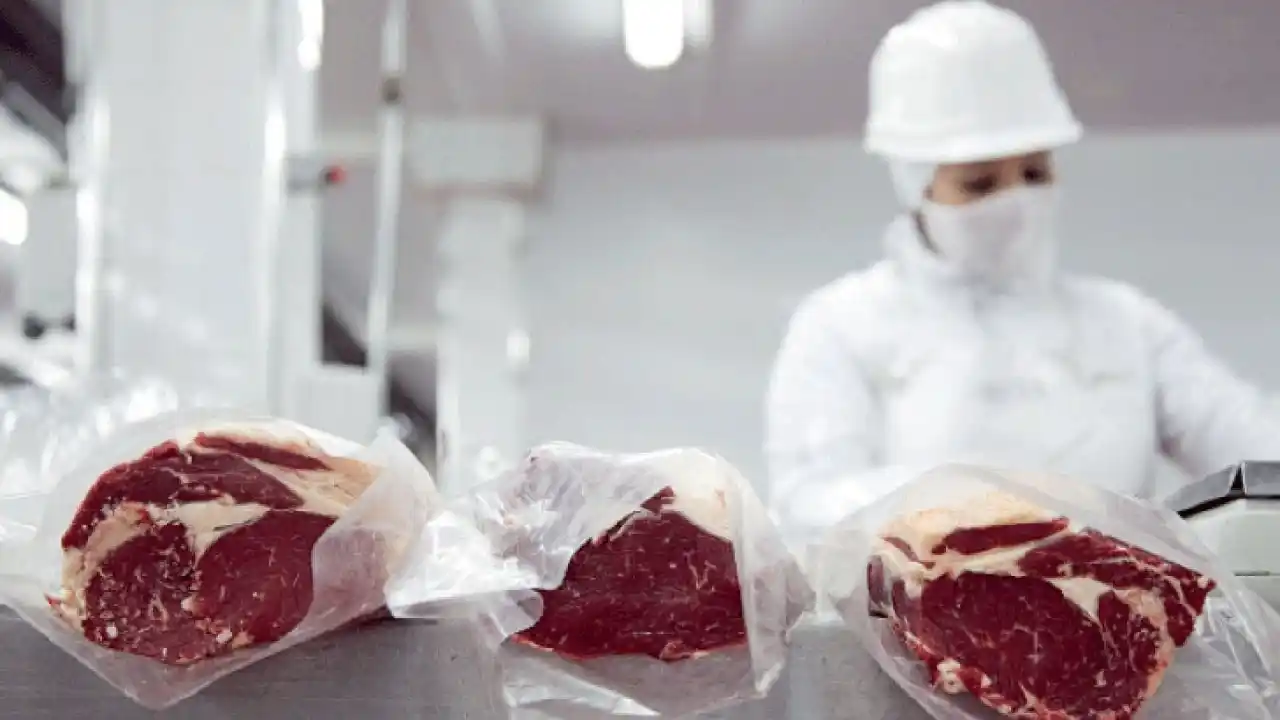 Proponen incentivos de precio para seleccionar por calidad de carne