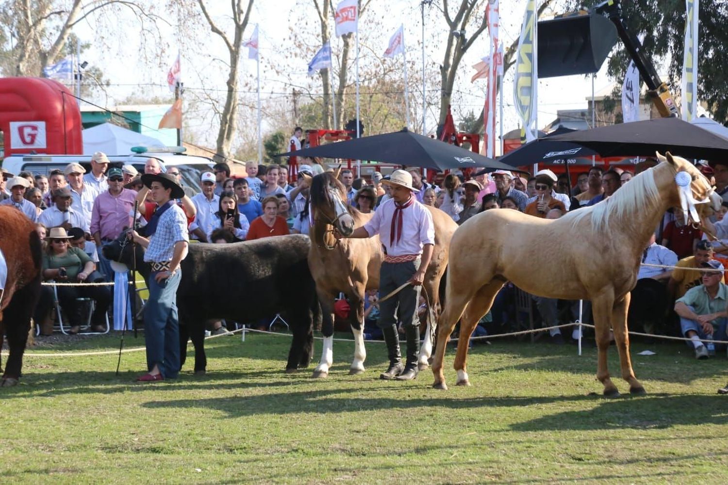 Para agosto anunciaron la 97ª Exposición de Ganadería, Industria y Comercio