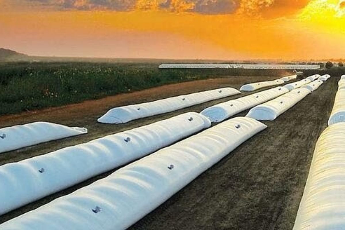 El volumen de soja sin vender en la Argentina alcanza a unos 34,954 millones de toneladas.