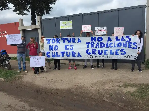 Polémica por la vuelta de las jineteadas a la ciudad: ¿están prohibidas o no?