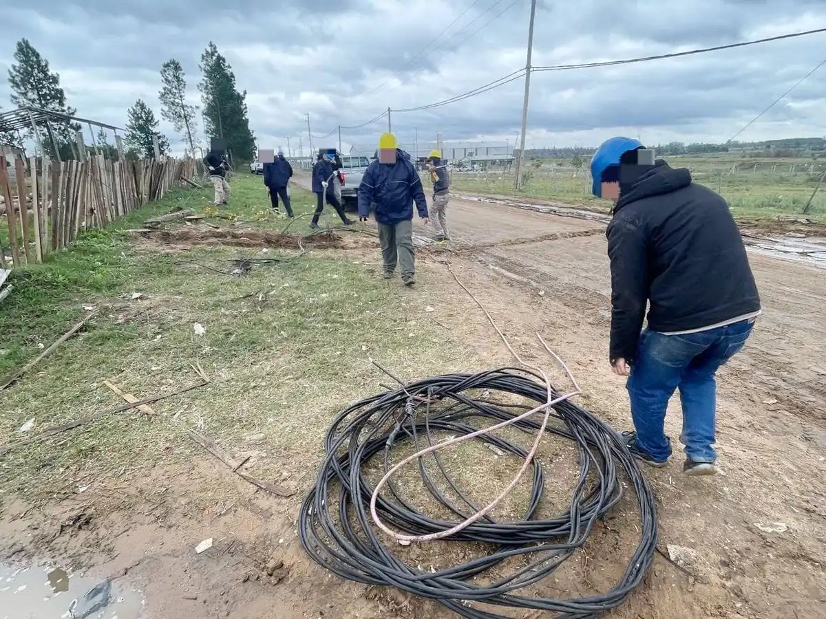 Allanan aserradero por robo de energía: secuestran más de 1.000 metros de cable