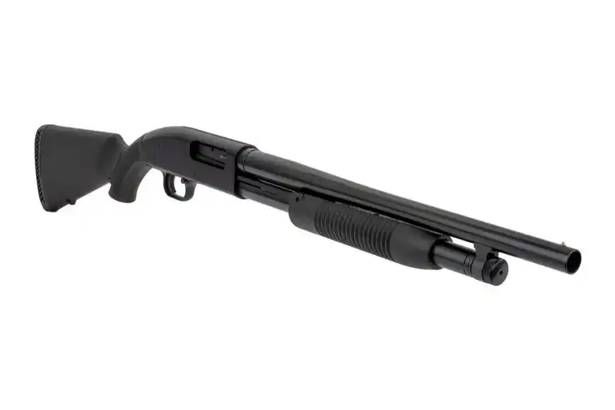 Servicio Penitenciario