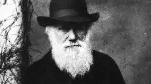darwin