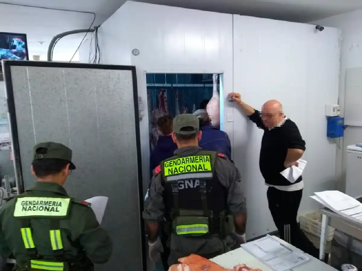 Productor confesó que desde hace  6 años la banda que adulteraba  carne le compraba animales muertos 