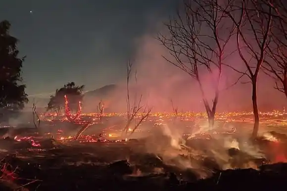 Un voraz incendio arrasó más de 100 hectáreas y mató animales en Cafayate