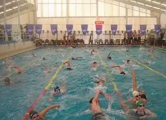 Buena labor del equipo de competición del
CEF Nº 2 en los natatorios del S.I.T.A.S
