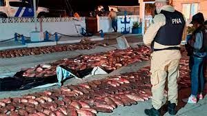 Millonario contrabando de pescados a Uruguay: enviaban 40 toneladas por mes