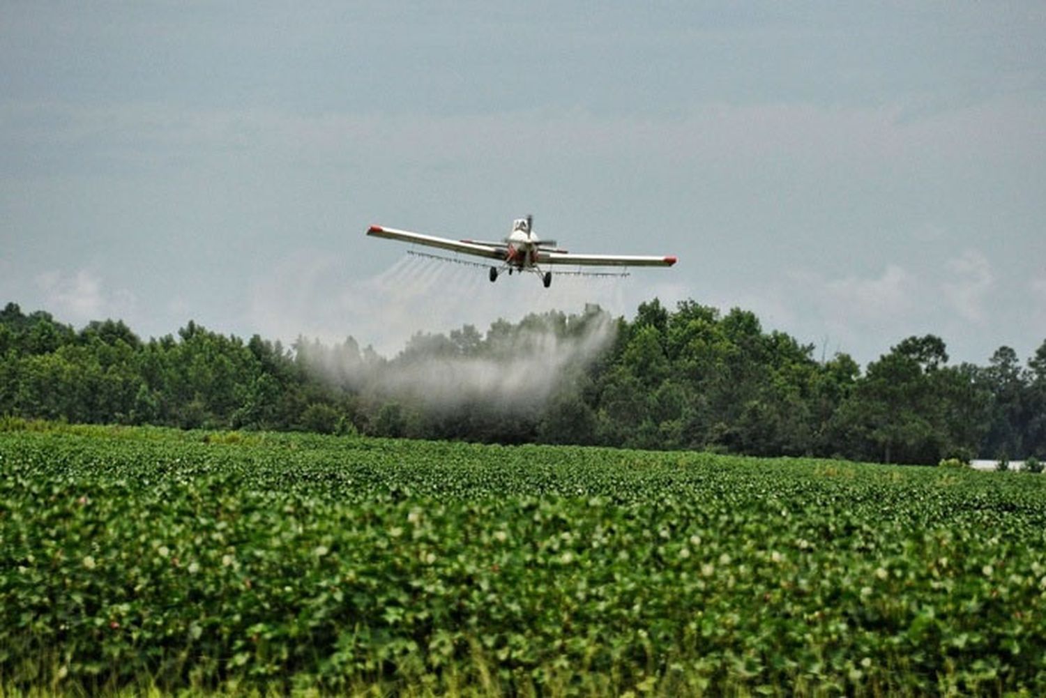 Quedó firme la condena contra un productor por la muerte de un niño por agroquímicos