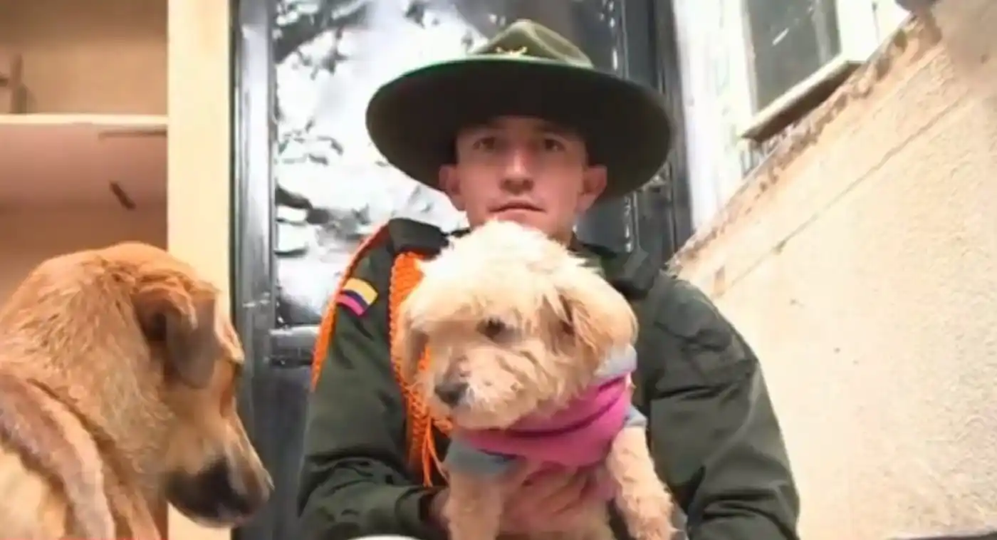 El policía que vive para rescatar perros y gatos