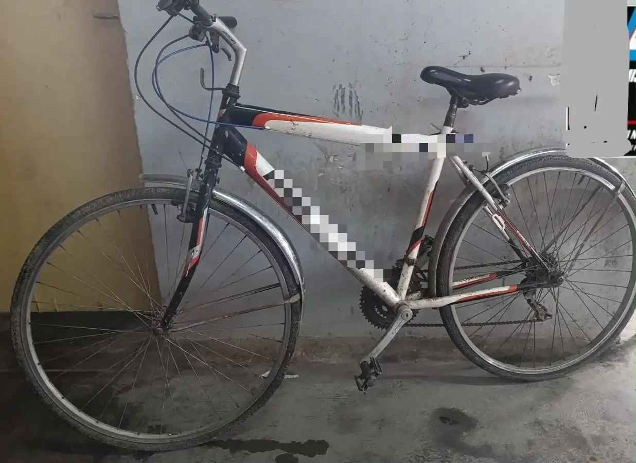 Robó un televisor y se lo llevó cargado en la bicicleta, pero la policía lo interceptó en la huida - 2
