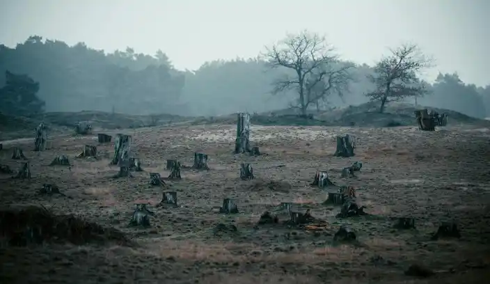 Formosa: ¿La economía amenaza al medio ambiente?