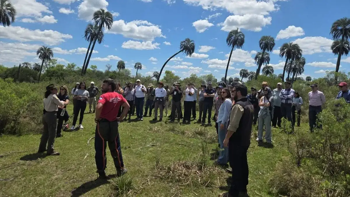 Gualeguaychú y El Palmar fueron sede de jornadas internacionales sobre prevención y control del picudo rojo