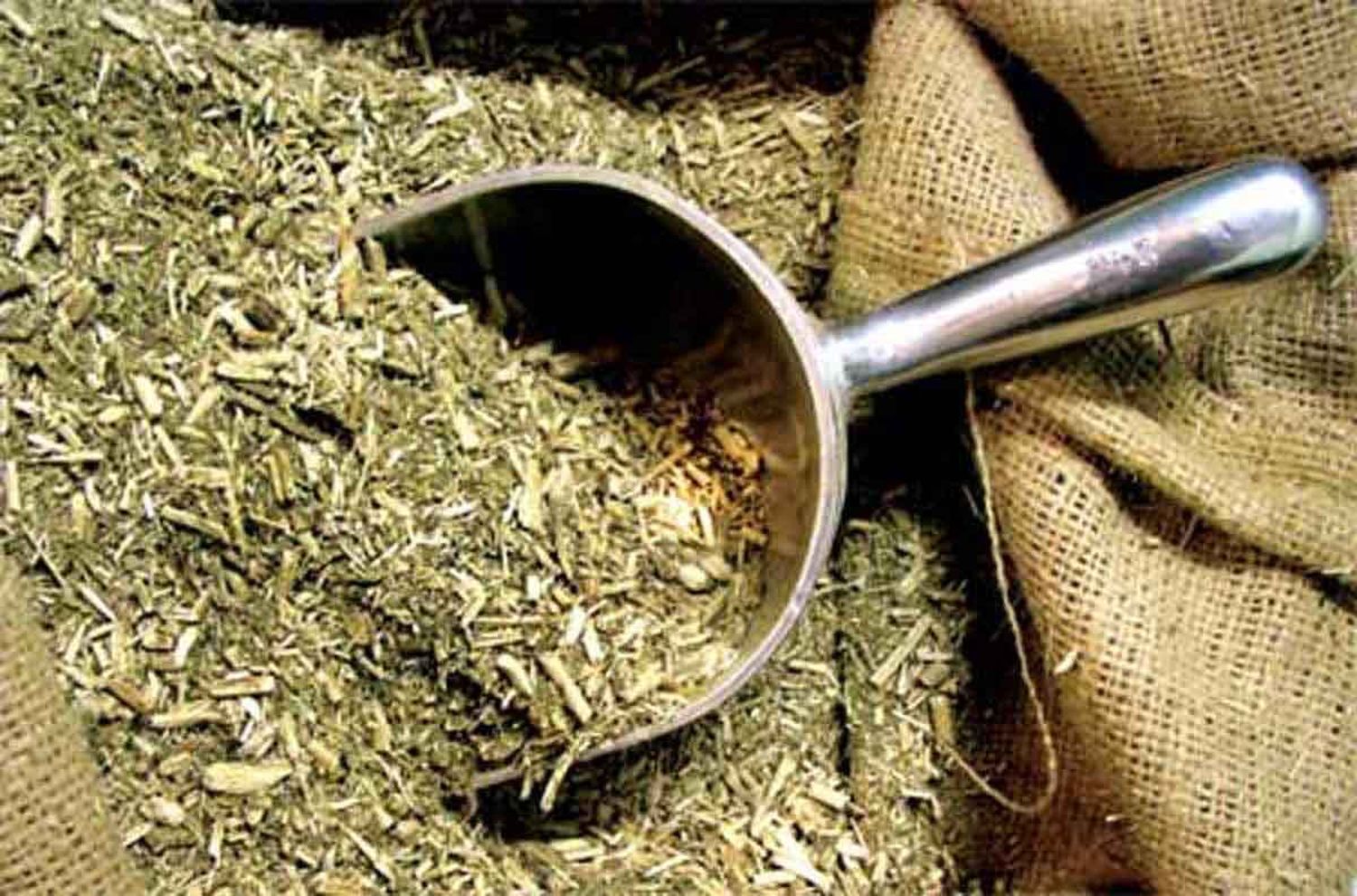 Otro golpe al consumo de los argentinos: se derrumbó la venta de yerba mate