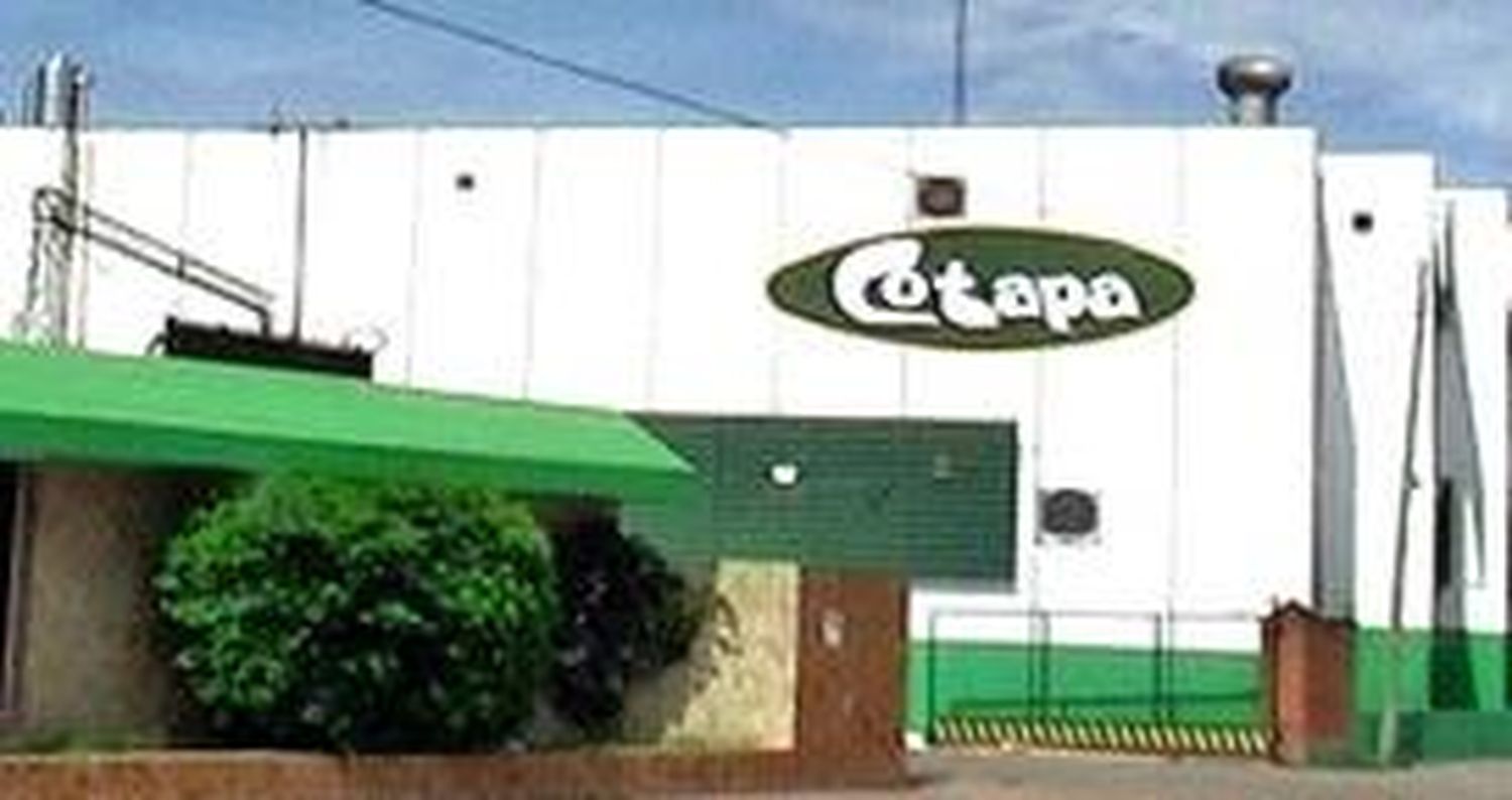 Cotapa suspendió su producción