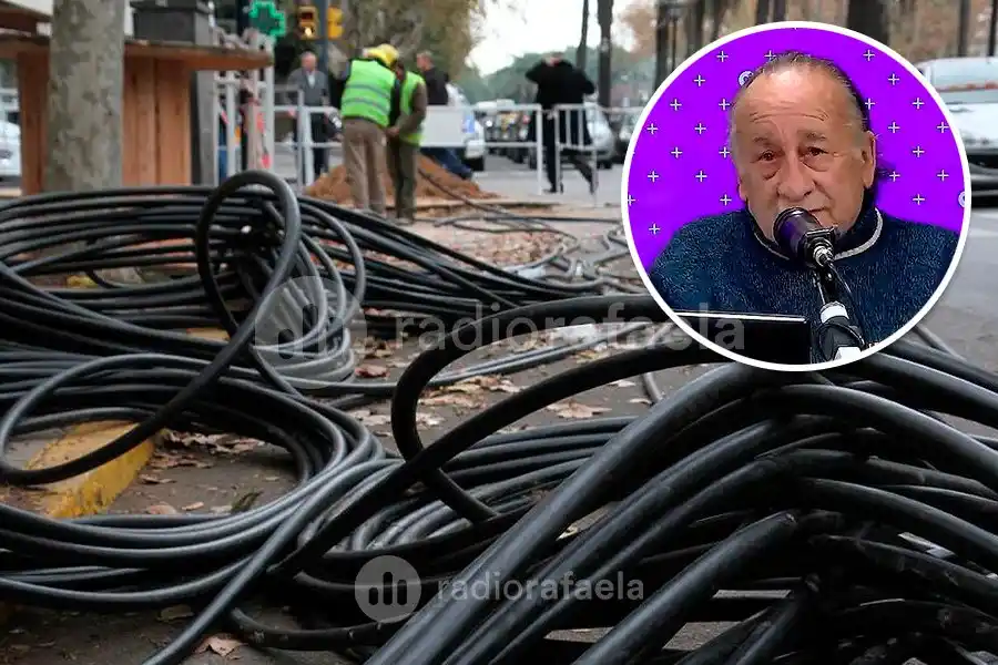 Vecinos del barrio Jardín reclaman una solución a los problemas eléctricos: “Las hormigas se comieron los cables”