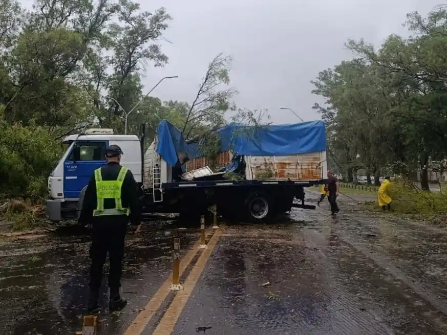 Un eucalipto cayó sobre un camión en la RN 11, frente al Hospital Nuevo Reconquista.