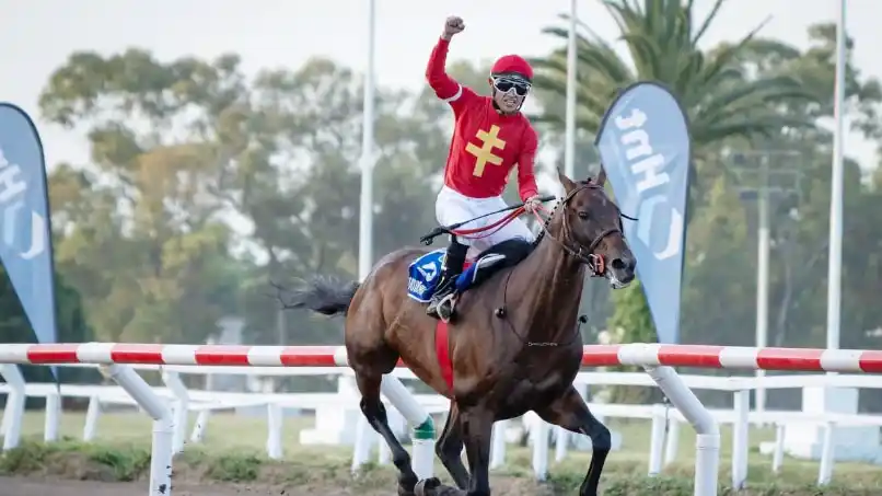 The Gladiator’s Hat, titular del Dardo Rocha (G1) y 2° en el Pellegrini (G1), va por el Martínez de Hoz (G1), primer cotejo de máxima escala de la temporada.
