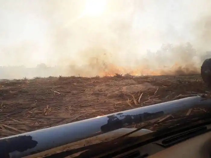 Incendio forestal en Concordia afectó a un aserradero
