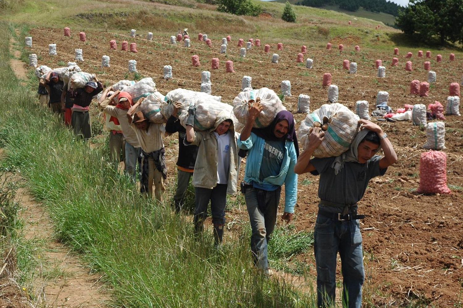 Agonizan los campesinos en Boyacá