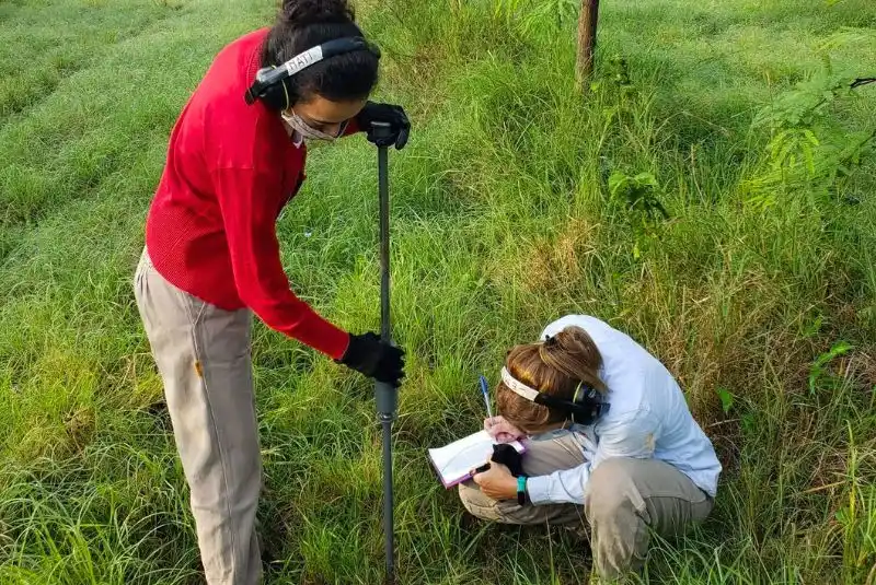 Los suelos de Argentina poseen un gran potencial para modificar el balance de CO2.