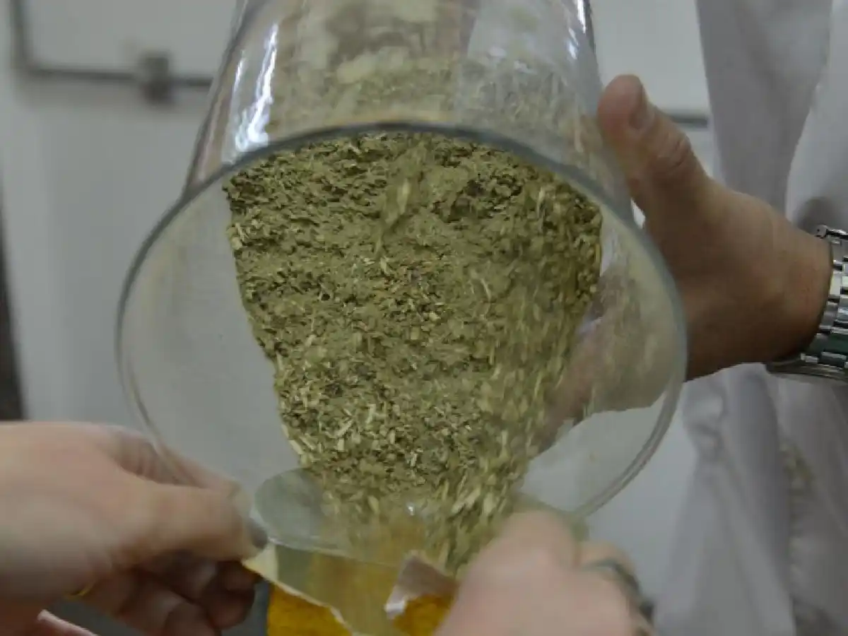 Anmat prohibió la comercialización de una yerba cordobesa