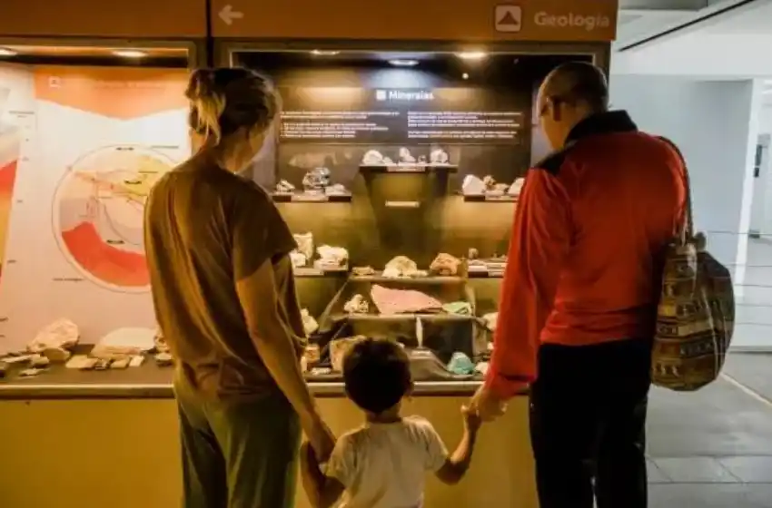 El Museo de Ciencias Naturales celebra los 55 años con numerosas propuestas