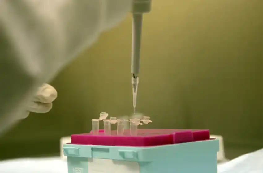 Murieron dos personas en las últimas horas y las víctimas fatales por coronavirus ascienden a 39 en el país