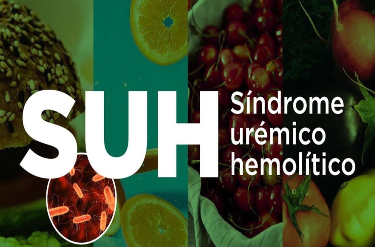 Síndrome Urémico Hemolítico: una advertencia nutricional sobre consumir carne picada