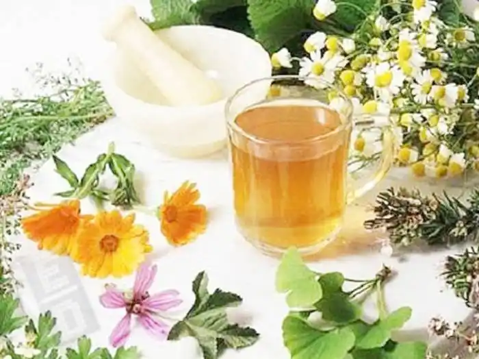 Relevamiento de plantas y saberes  medicinales de pueblos originarios