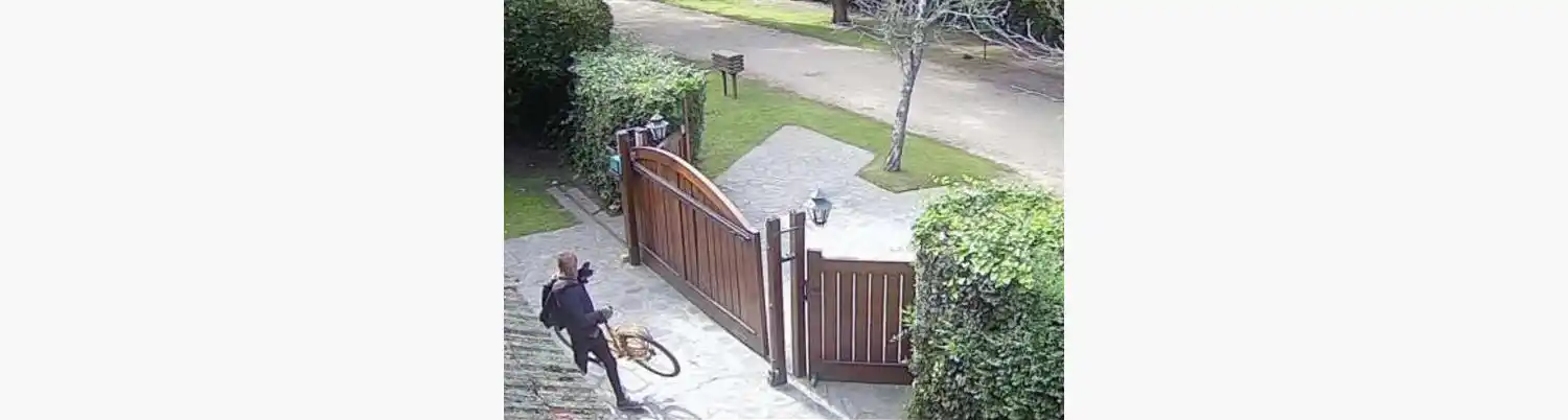 El robo fue registrado por las cámaras de seguridad de la casa.