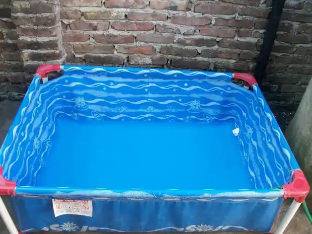 Vaciaron la pileta y se la llevaron