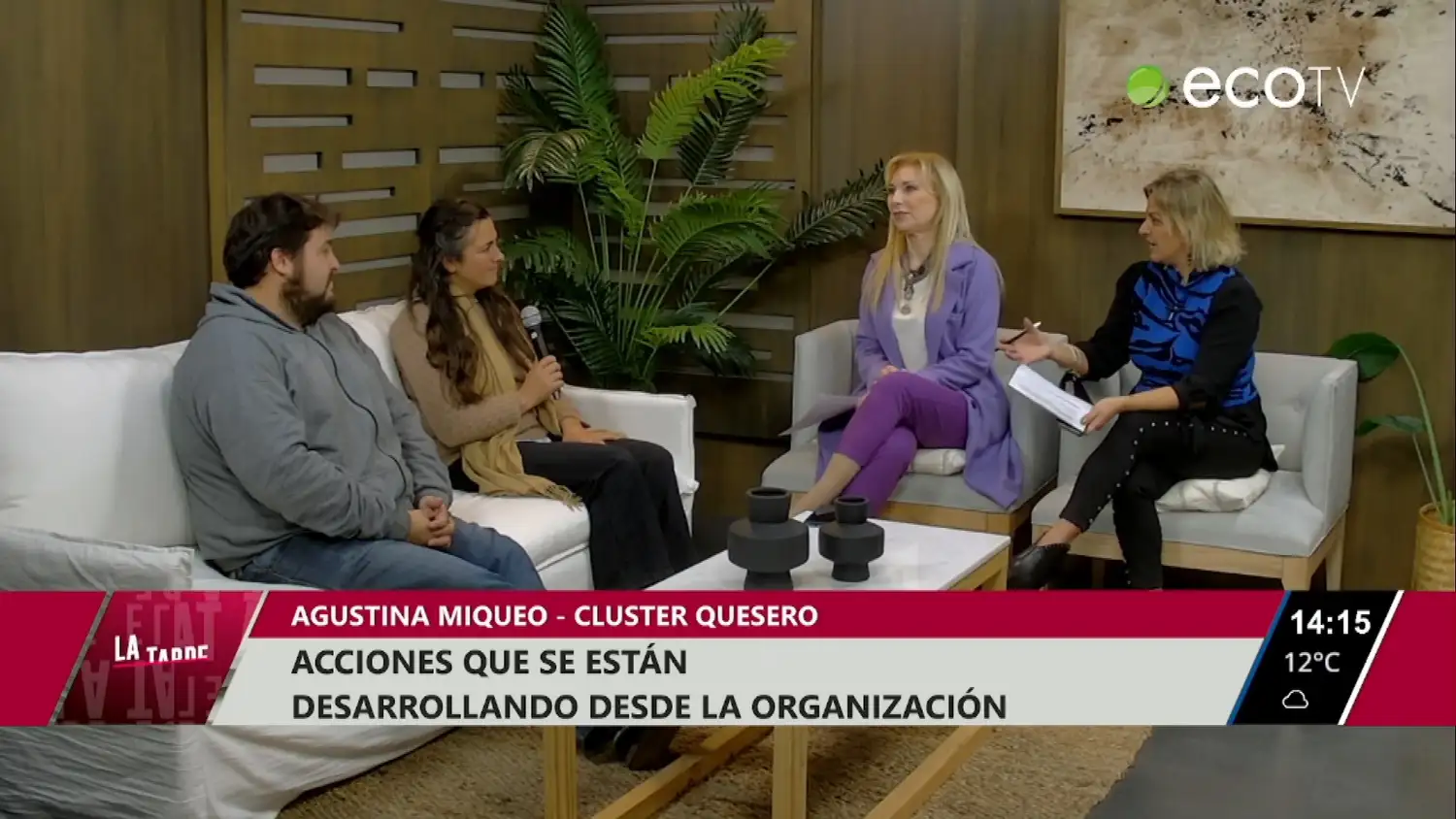 Acciones que se están desarrollando en el Cluster Quesero
