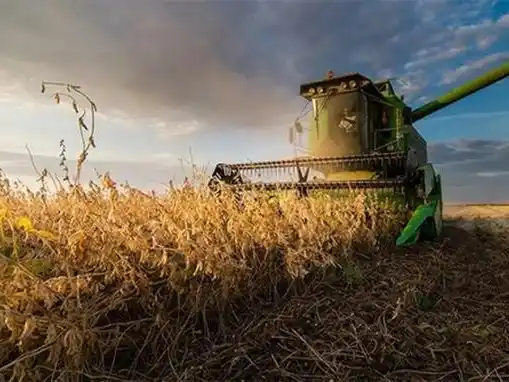El suelo vivo desafía a la agricultura convencional y el modelo productivo