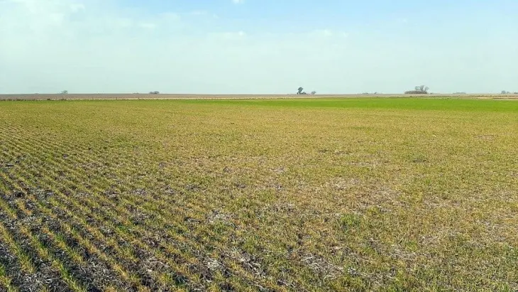 Protesta del campo en Bragado: “Es para este gobierno y para el que venga”, dijo productor local