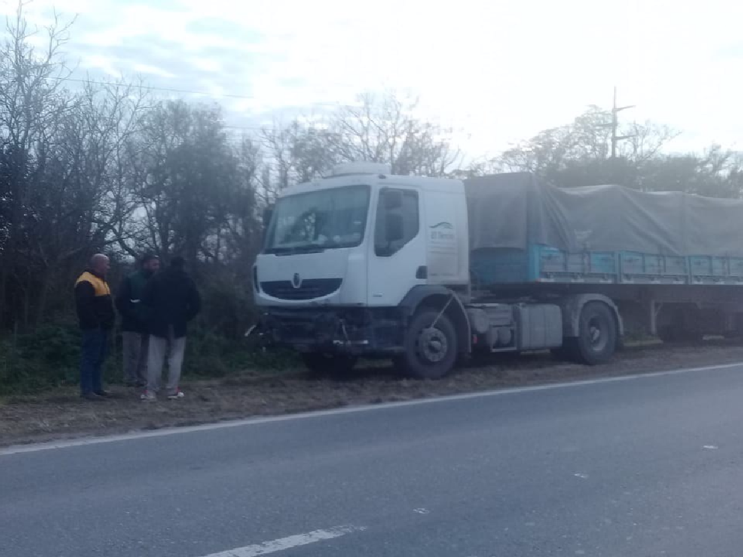 Un camión chocó cinco vacas en la ruta nacional 19