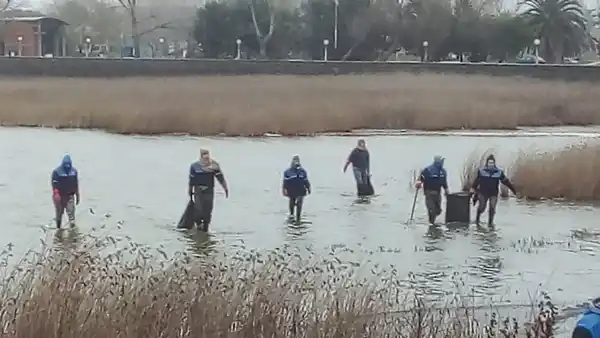 Se puso en marcha un operativo integral de limpieza en la laguna de Chascomús