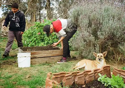 La huerta propia, una opción para aprovechar el tiempo libre