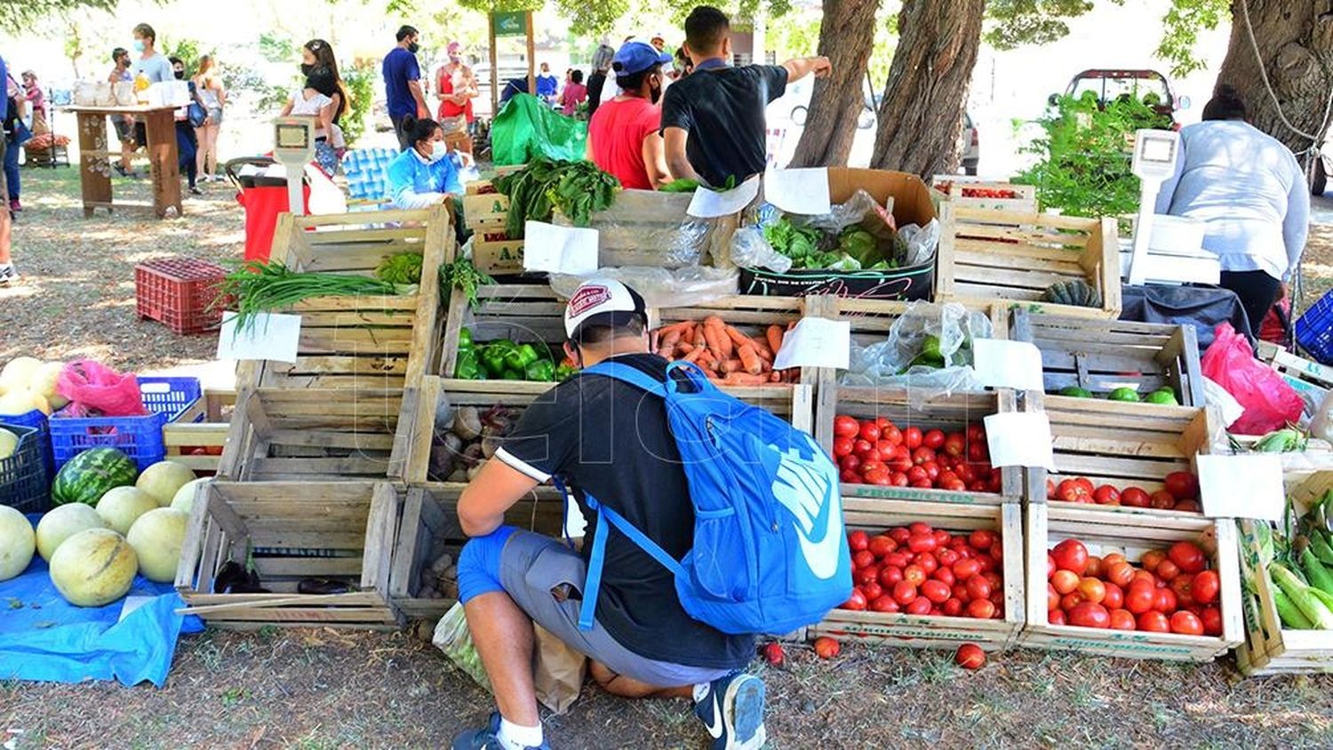 El costo de la Canasta Básica Alimentaria subió 15,2 % en noviembre