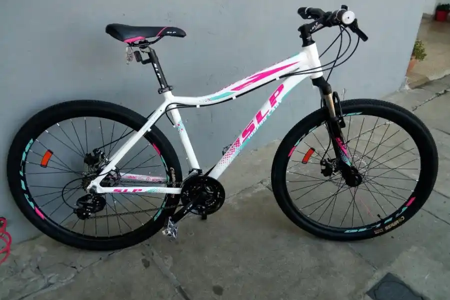 Investigan el secuestro de una bicicleta SLP localizada en un allanamiento