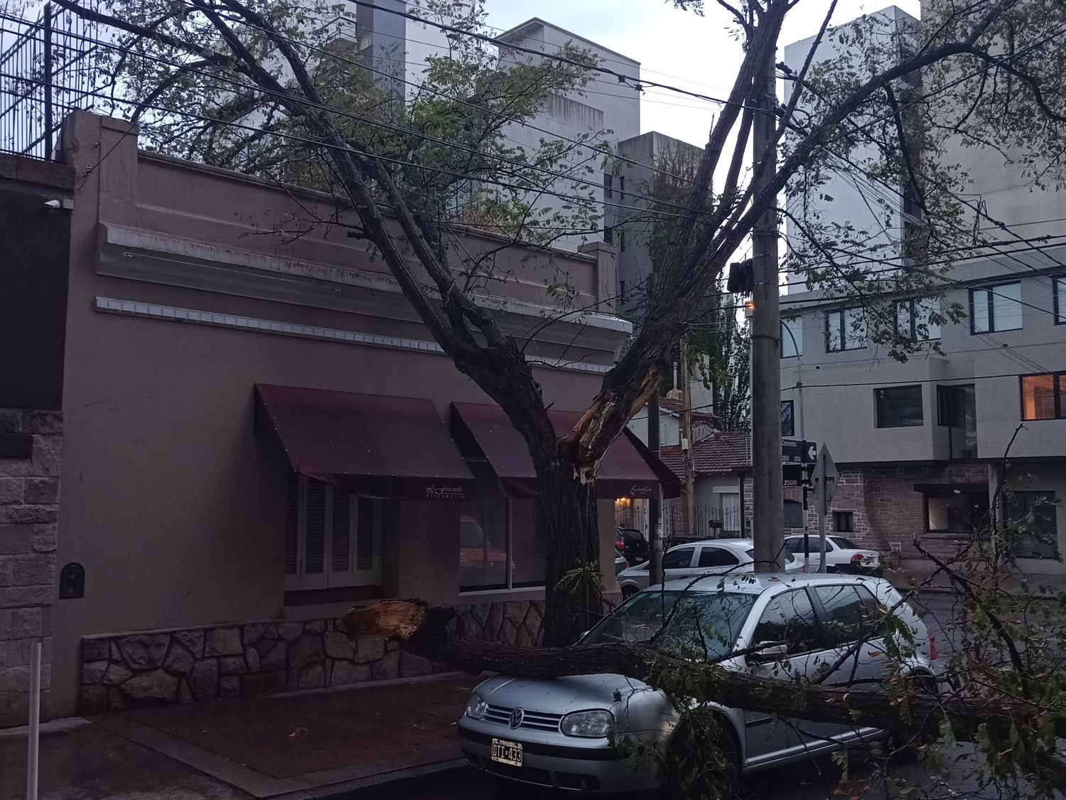 En Corrientes y Rawson se quebró un árbol, un árbol que estaba en mal estado se llenó de agua y se quebró  cayo sobre un restaurante y un auto.
