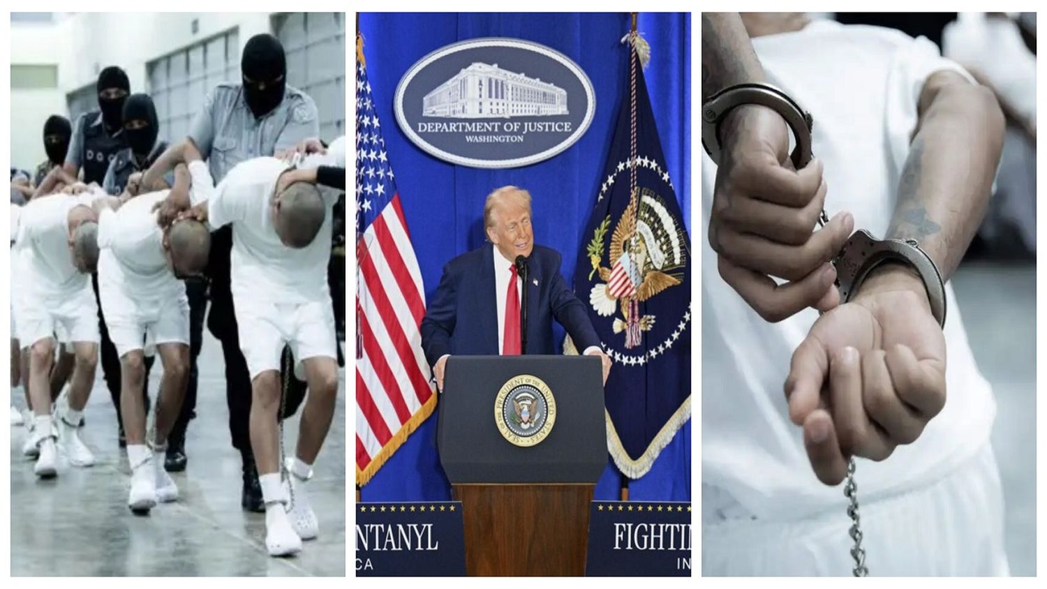 VENEZOLANOS igual a ENEMIGOS: la guerra de DONALD TRUMP convirtió el SUEÑO AMERICANO en la peor pesadilla