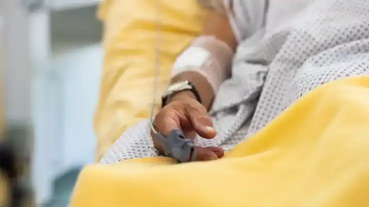 El virus se encuentra principalmente en especies de mamíferos pequeños de Alaska