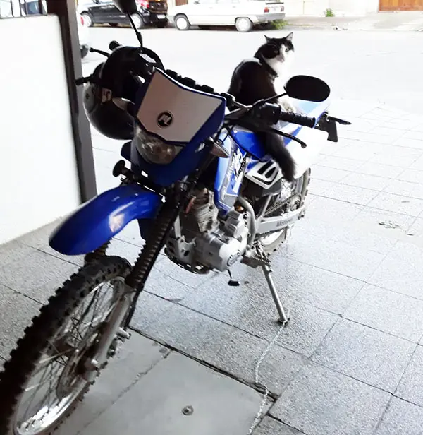 Otra moto robada del patio de una vivienda en el barrio Sudoeste