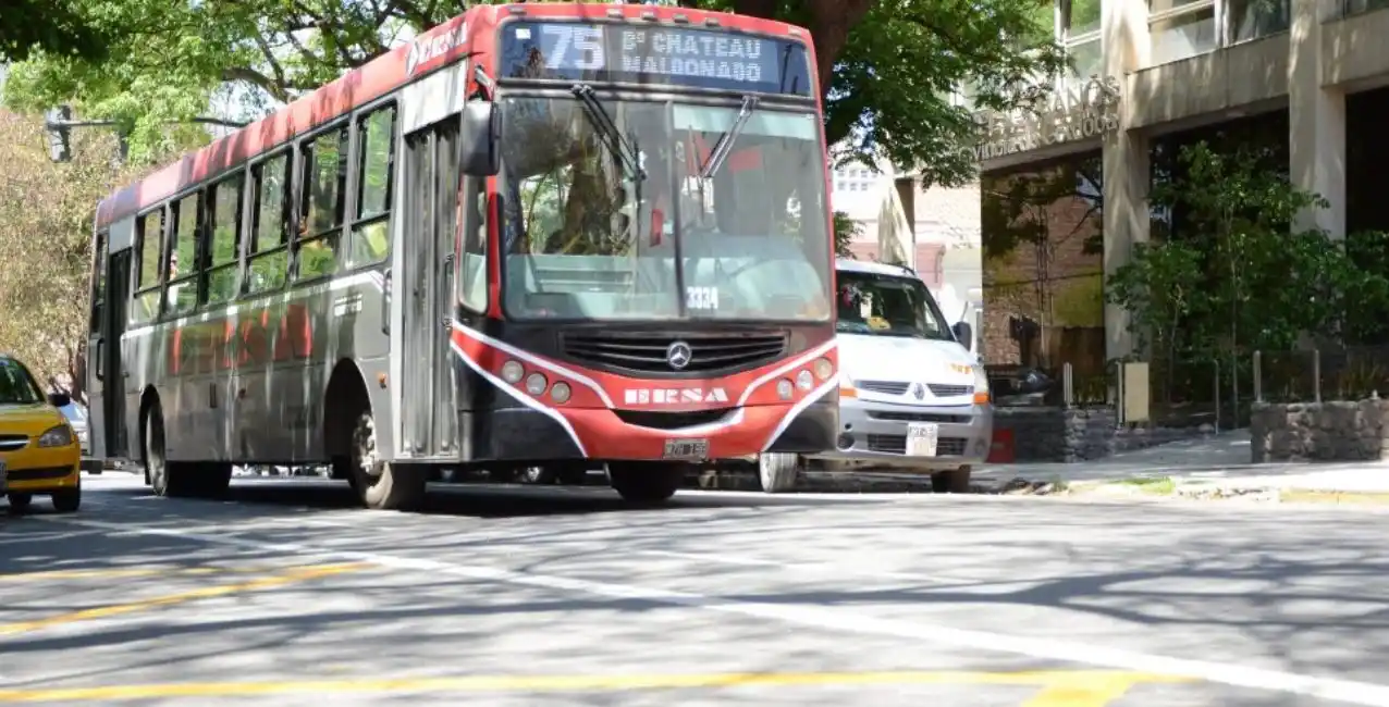 Tragedia en Córdoba: un colectivo atropelló y mató a un nene de seis años