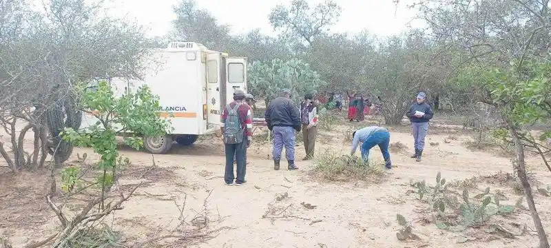 Joven de 22 años chocó contra un árbol y falleció
