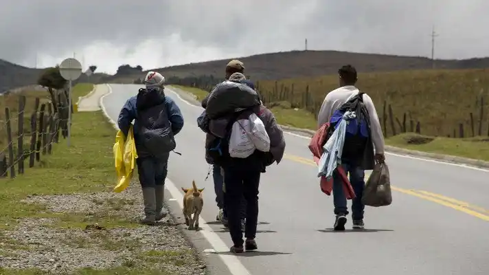 INSEPARABLES: las mascotas también acompañan a los caminantes en su travesía