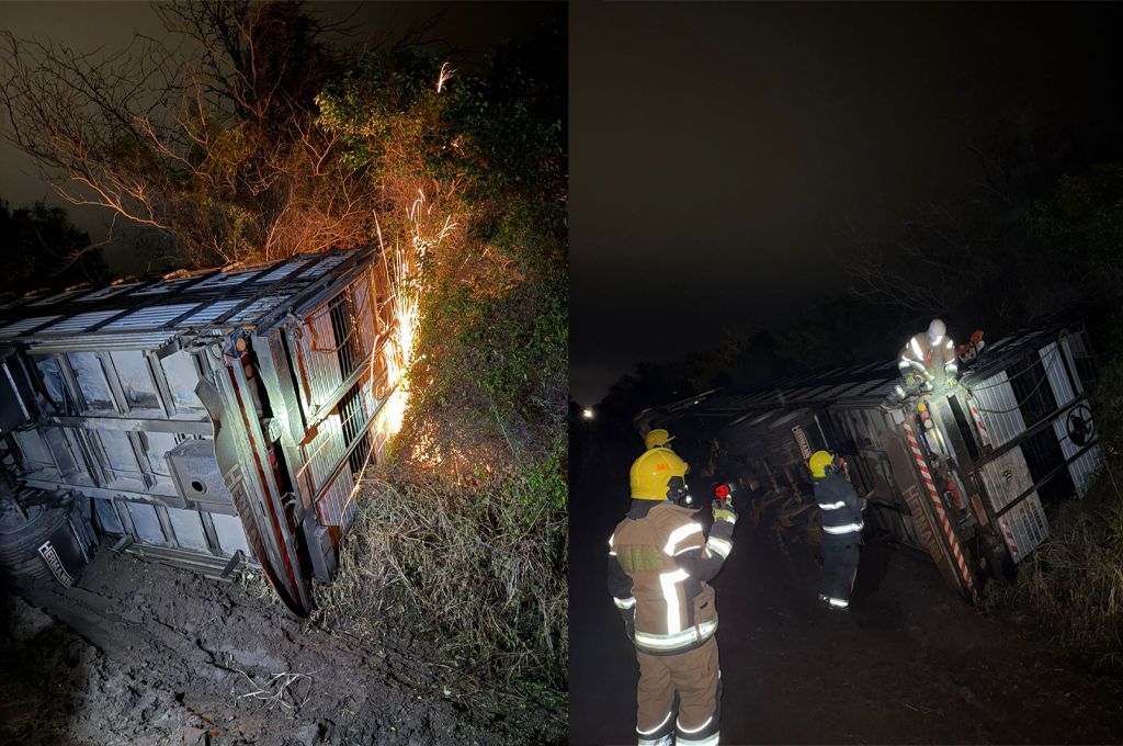 Volcó un camión jaula en la región y los Bomberos intervinieron para rescatar a los animales